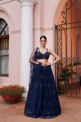 Navy Blue Net Floral Motif Embroidered Lehenga Set
