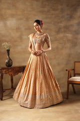 Gold Tissue jacquard Embroidered Lehenga Choli