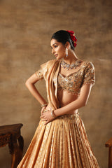 Gold Tissue jacquard Embroidered Lehenga Choli