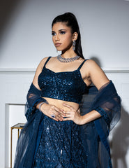 Jharokha Embroidered Lehenga