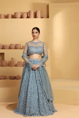 Net Flower motif kalidar Lehenga with geomatric choli