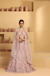 Net Kalidar cutdana and beads work Lehenga