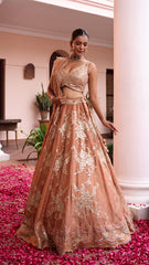 Rust Tissue Floral Embroidered Lehenga Set