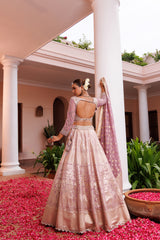 Lilac Tissue Mirror Hand Embroidered Lehenga Set