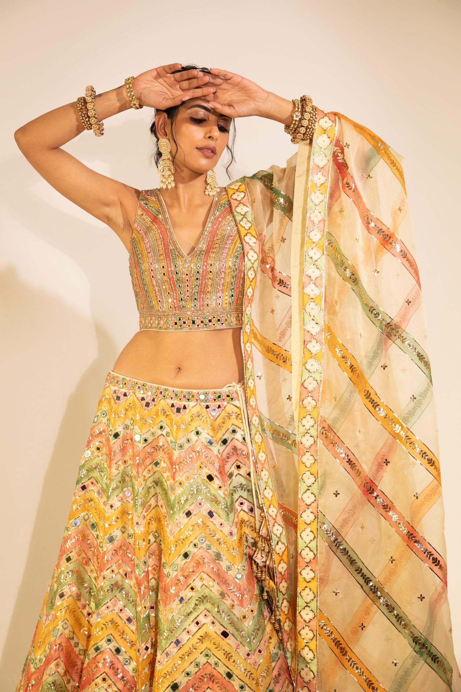 Multicolor Hand-painted Organza Lehenga