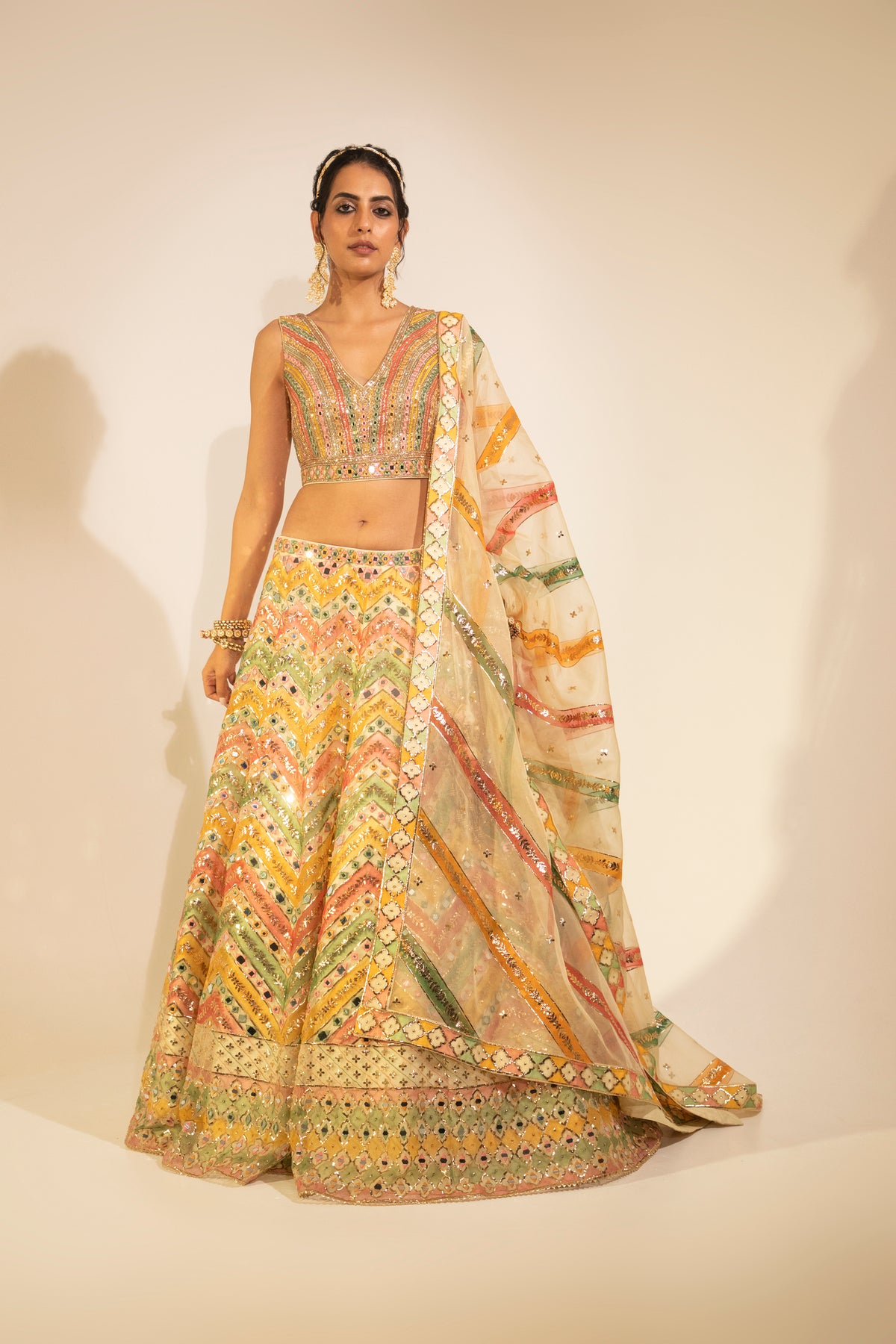 Multicolor Hand-painted Organza Lehenga