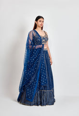 Zari Work Lehenga Choli