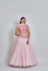 Pink Monotone Embroidered Lehenga