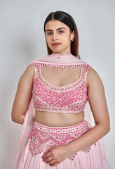 Pink Monotone Embroidered Lehenga