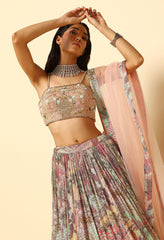 Blush Pink Printed Sequence Lehenga Choli