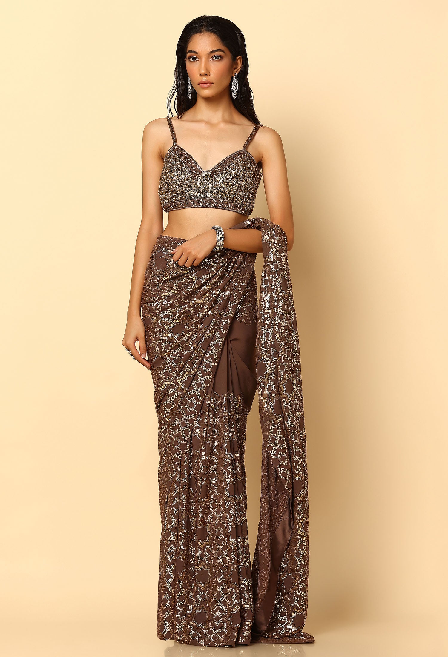 Brown and Gold Sequence Saree and Blouse