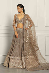 Mud Georgette Sequin Embroidered Lehenga Set