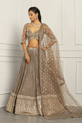 Sequin Embroidered Lehenga Set