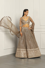 Sequin Embroidered Lehenga Set