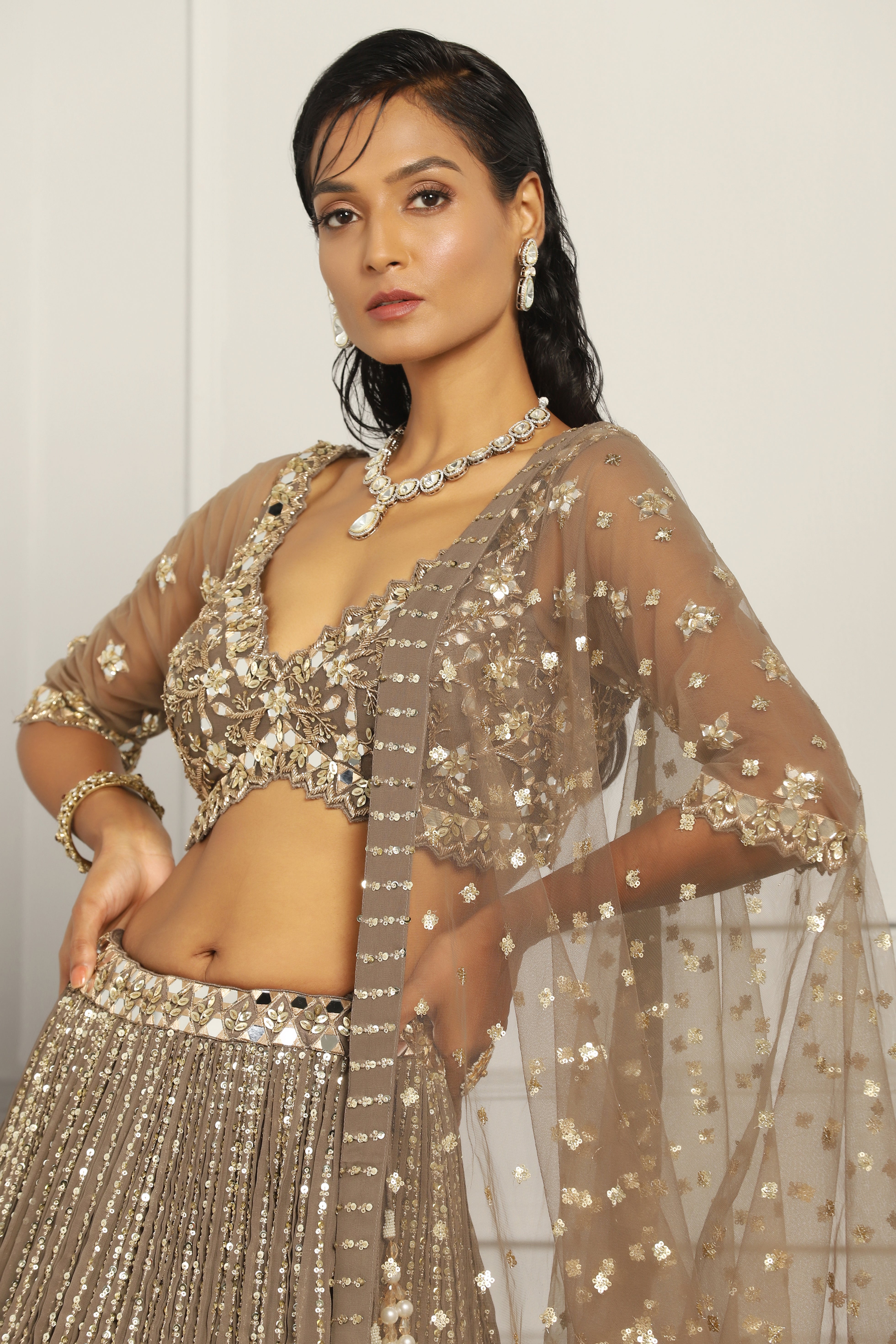 Sequin Embroidered Lehenga Set