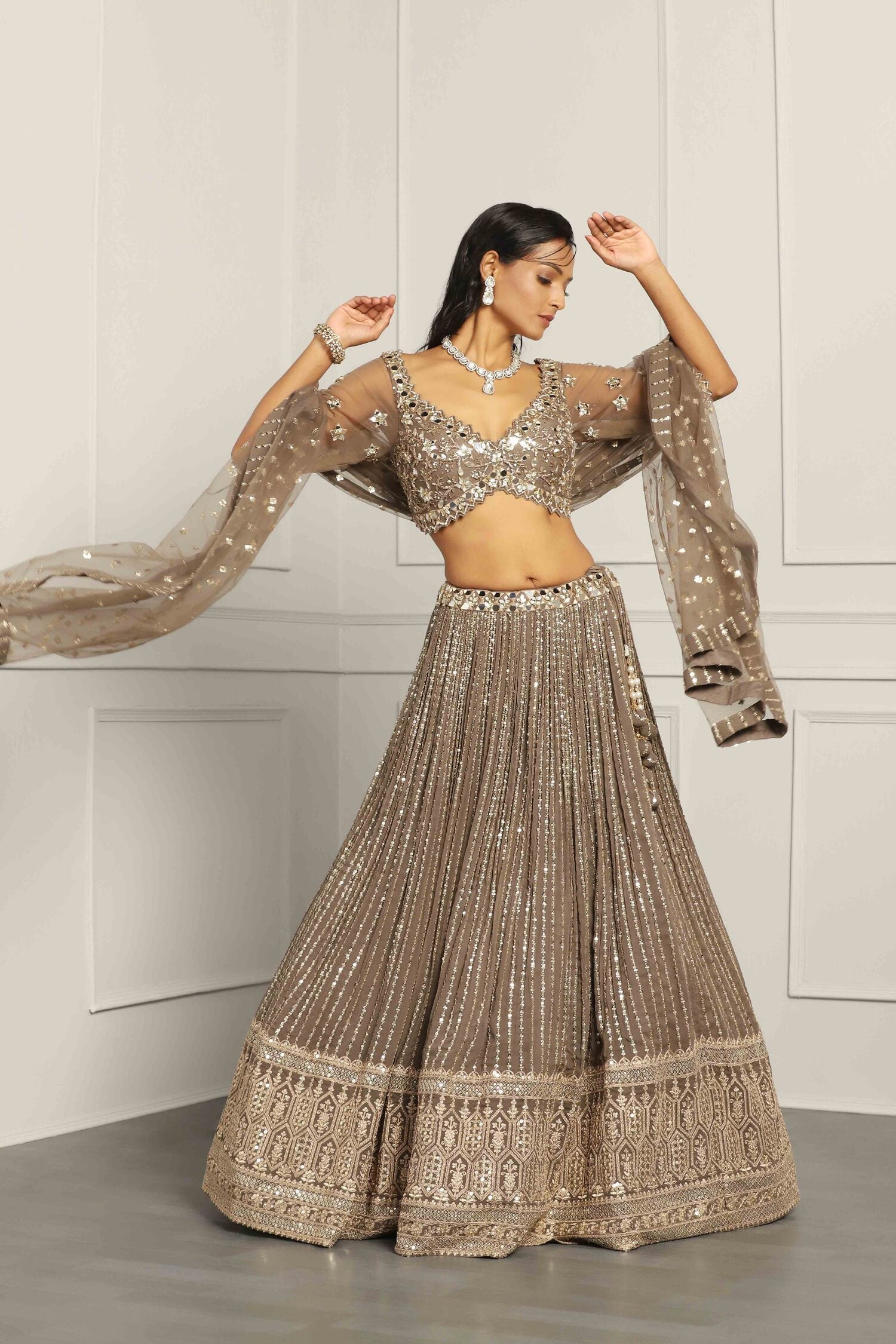 Mud Georgette Sequin Embroidered Lehenga Set