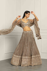 Mud Georgette Sequin Embroidered Lehenga Set