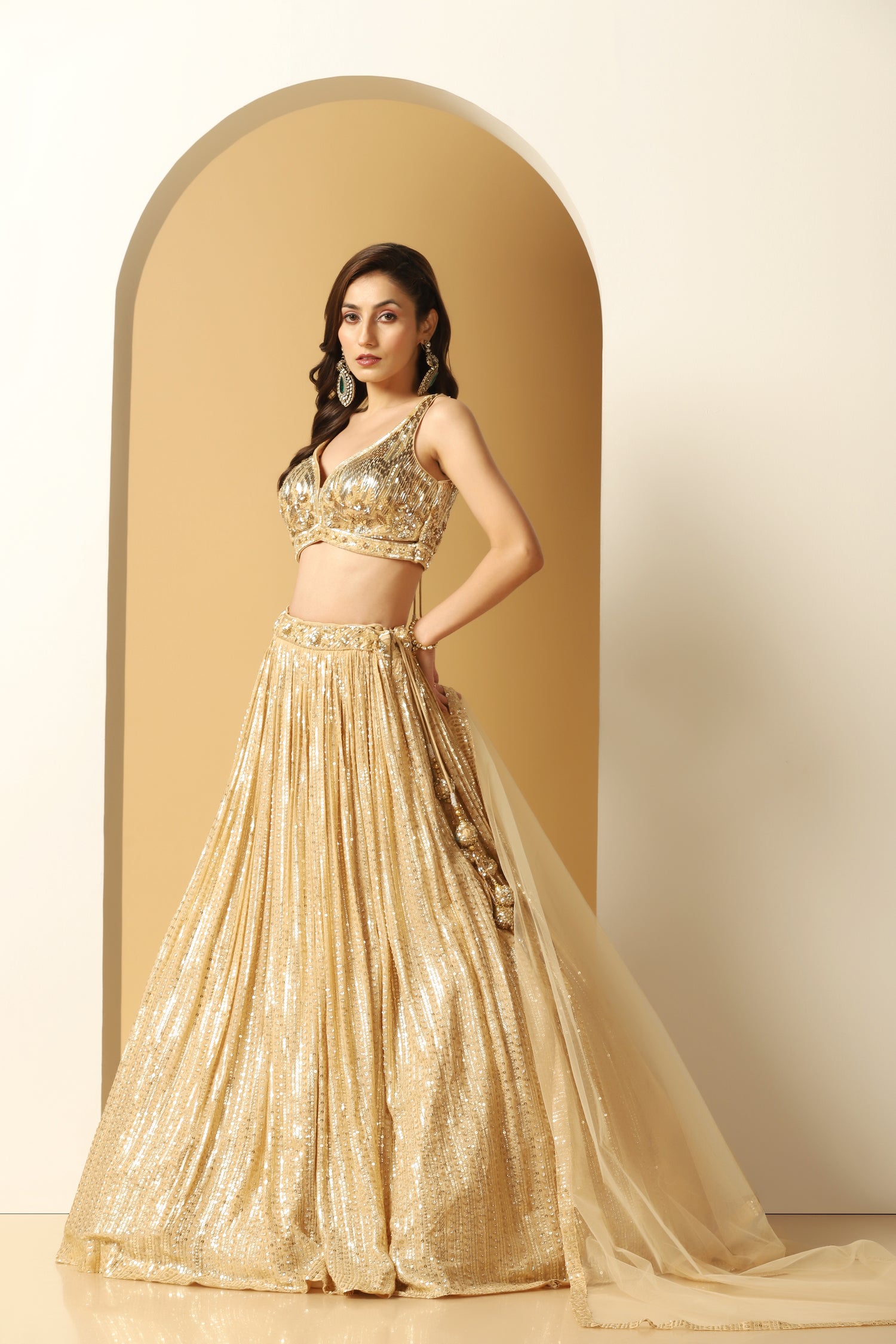 Metallic Stripe Embroidered Lehenga Set