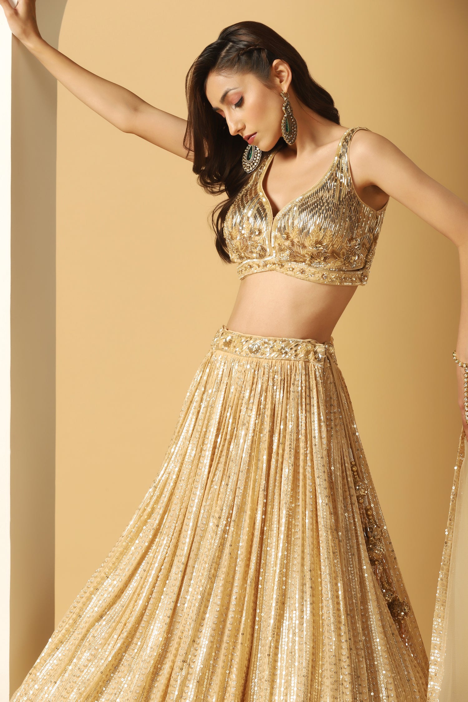 Metallic Stripe Embroidered Lehenga Set