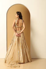 Metallic Stripe Embroidered Lehenga Set