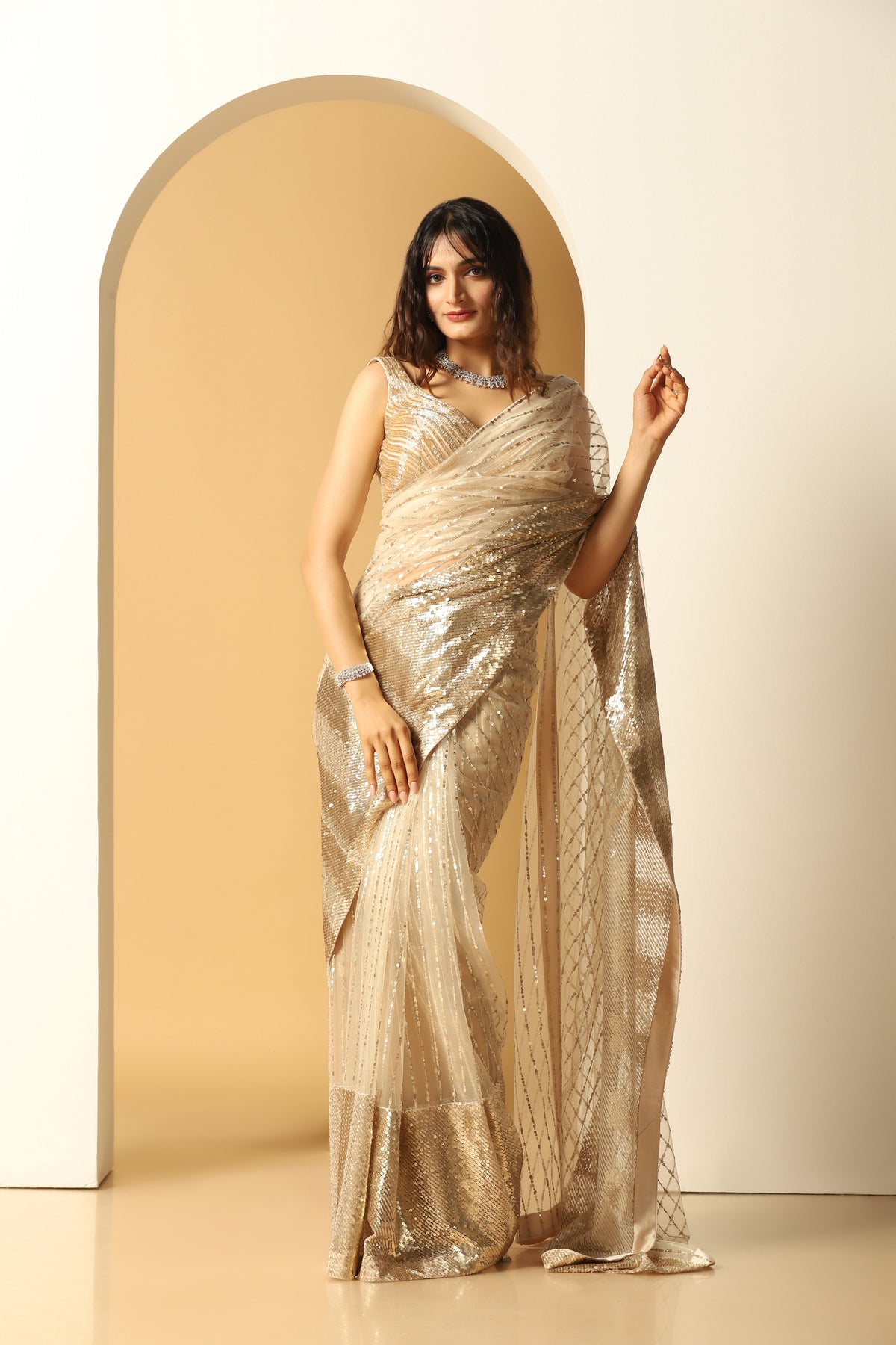 Sequin embroidery big border saree