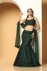 Sequin hand embellishment choli Resham Lehenga