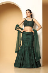 Sequin hand embellishment choli Resham Lehenga