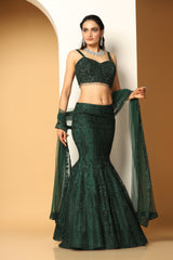 Sequin hand embellishment choli Resham Lehenga