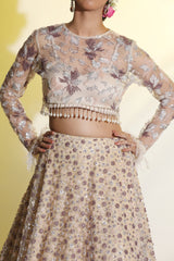 Embroidered Lehenga Choli