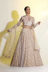 Embroidered Lehenga Choli