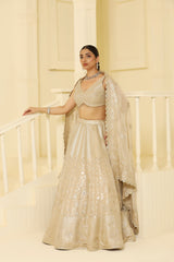 Gold Mughal art embroided Tissue lehenga