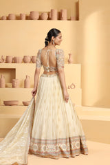 Nakshi, sequin cutdana resham mixed hand crafted choli plus Tissue jacquard lehenga with border.