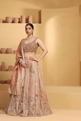 Nakshi and sequin work choli with a cutwork Tissue Lehenga