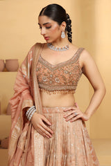 Nakshi and sequin work choli with a cutwork Tissue Lehenga