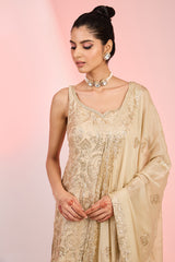 Fawn Chinon Sequins Embroidered Sharara Set