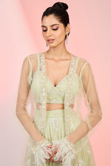 Cutdana sequin hand embellishment lehenga with transparent jacket