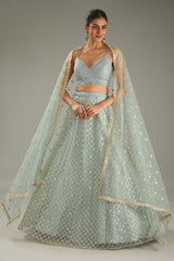 Sky Blue Net Zari Embroidered Lehenga Set